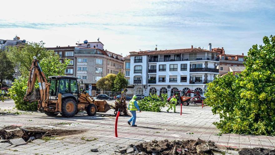 Adiós a los árboles de la plaza de O Corgo