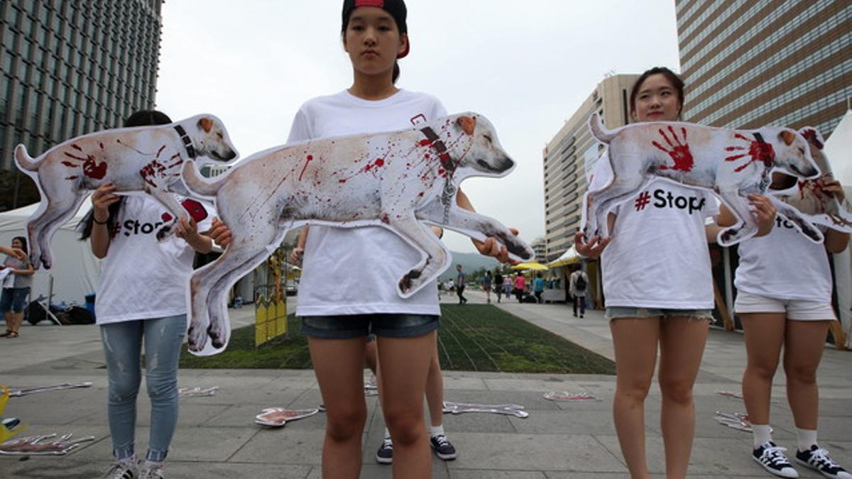 Corea del Norte celebra un concurso gastronómico de carne de perro
