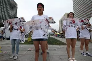 Corea del Norte celebra un concurso gastronómico de carne de perro