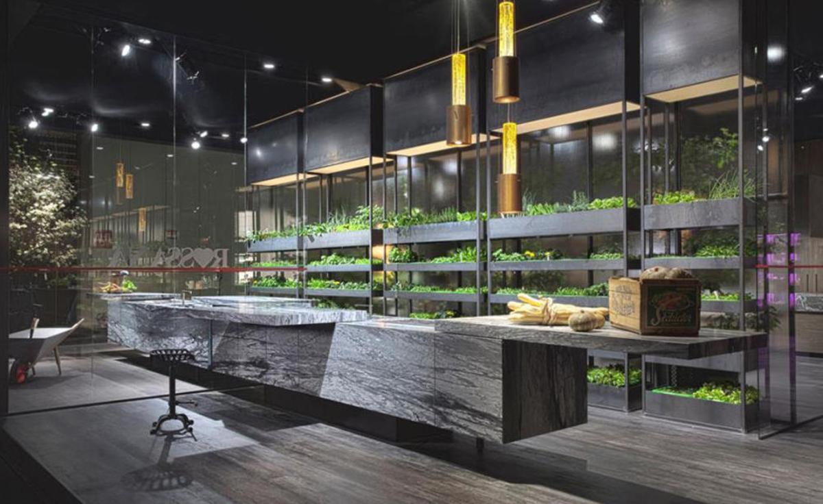 El mundo vegetal regresa a la decoración
