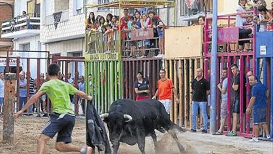 Atzeneta vive sus fiestas con toros y cenas populares