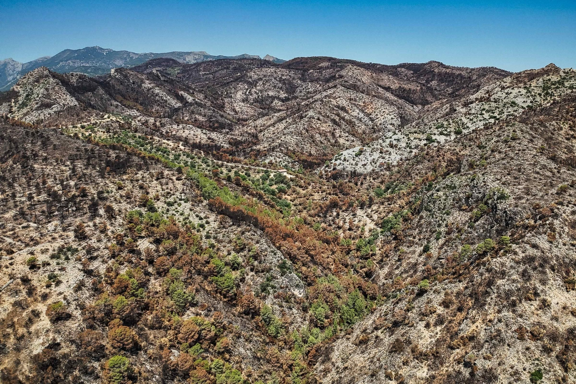 Les fotos de l'incendi de Paüls a vista de dron