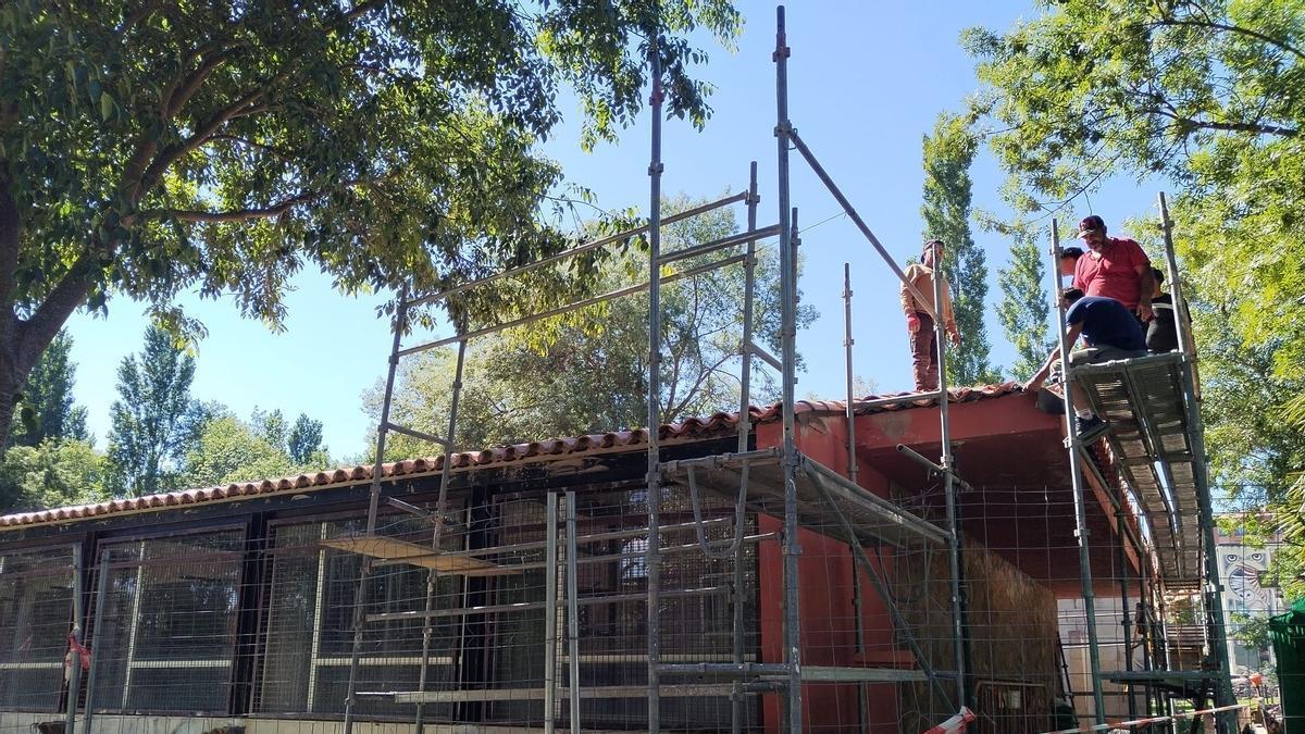 Estas son las instalaciones deportivas de Plasencia que mejorarán con una inversión de 350.000 euros.