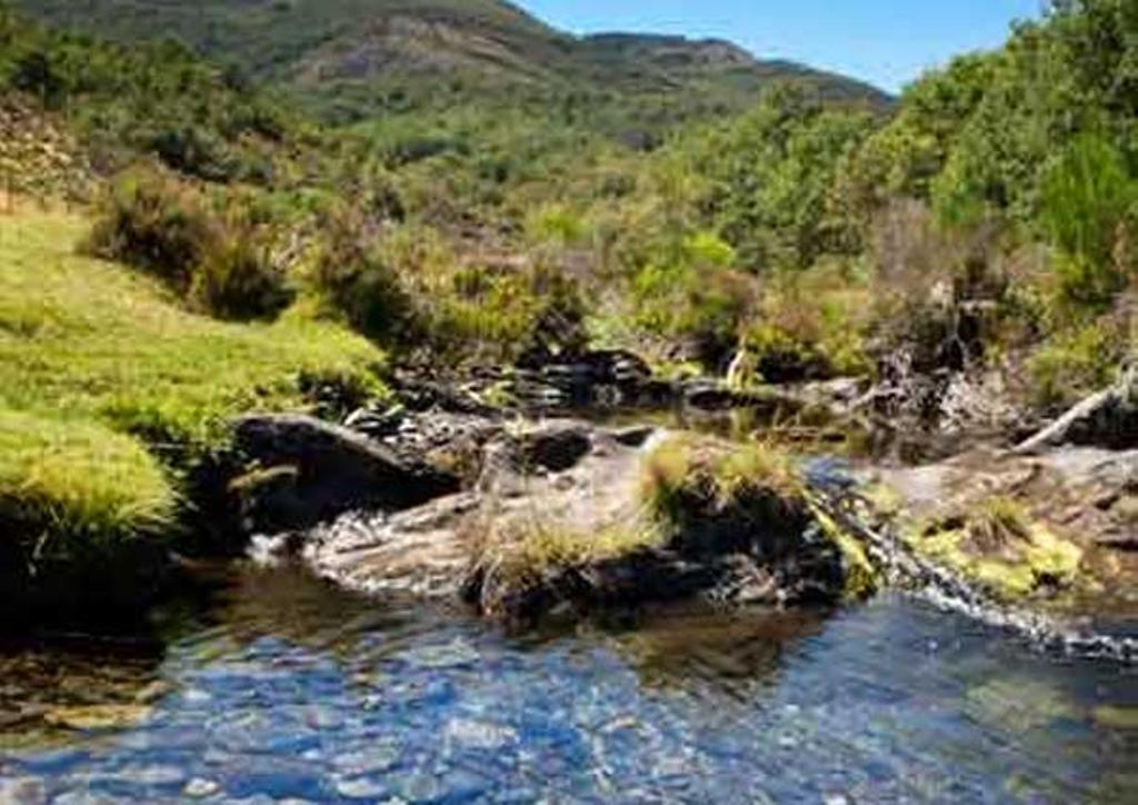 Hayedo de Tejera Negra