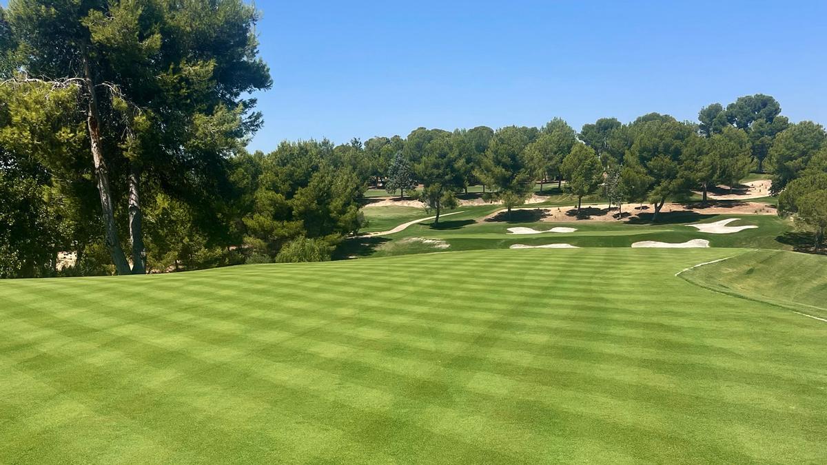 El Club de Golf El Bosque continua con su compromiso de mejora constante y ha renovado los greenes de los hoyos 10-18 .
