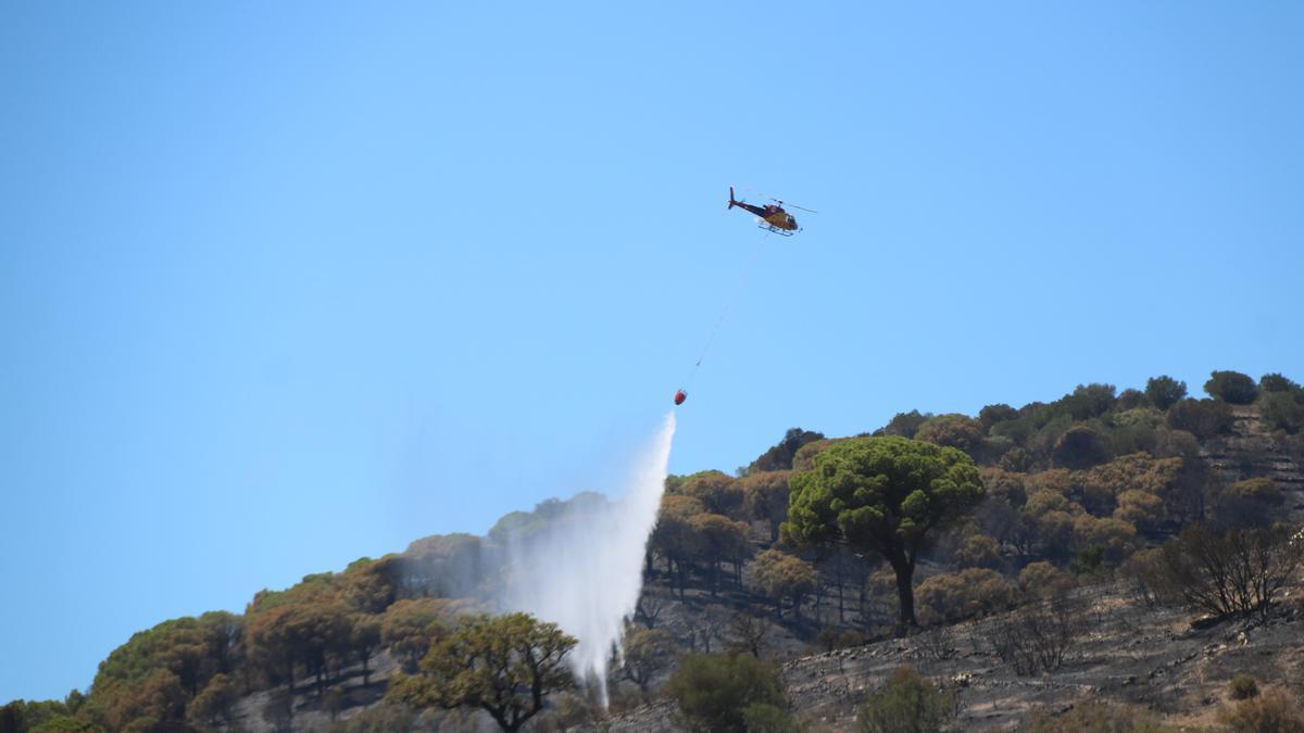 Un incendi crema a Portbou empès per la tramuntana