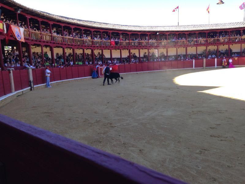 Fiestas en Toro | Becerrada de las peñas