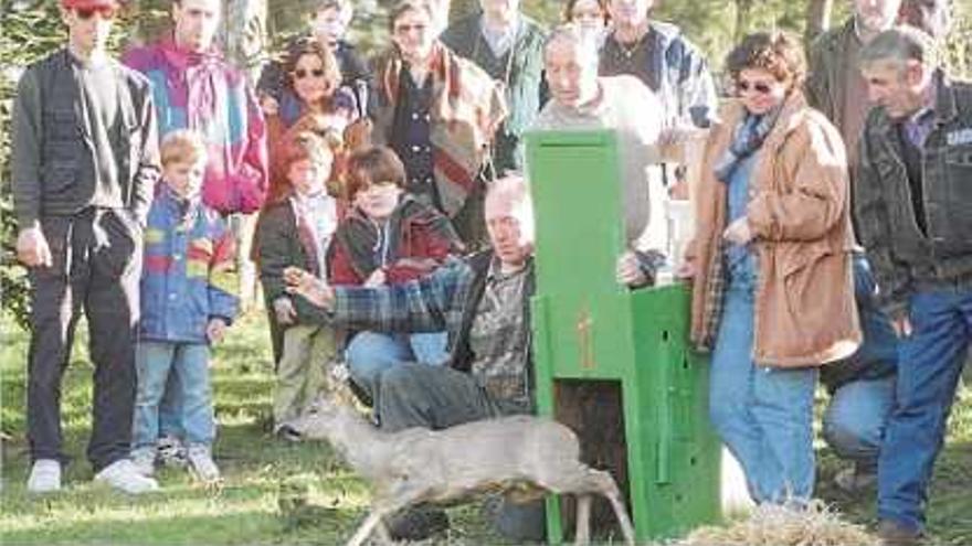 Alliberament d&#039;un cabirol per les societats de caçadors per tal d&#039;afavorir-ne la reintroducció.