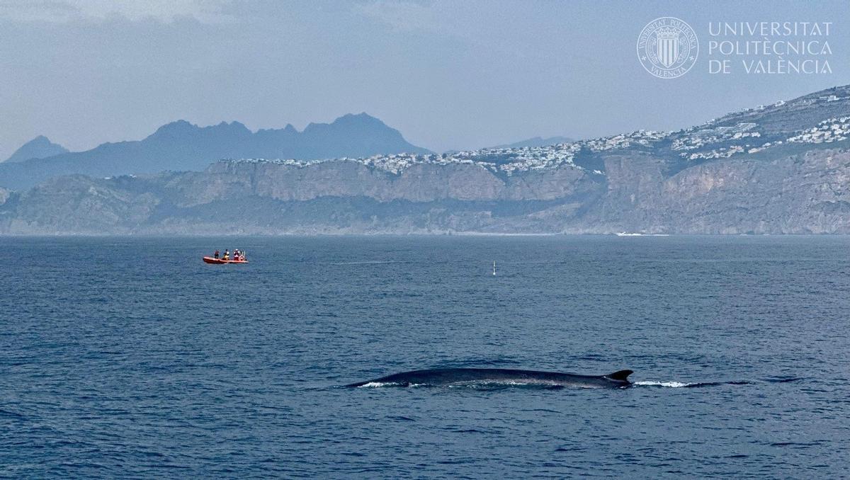 Costa de Altea, en una imagen reciente.