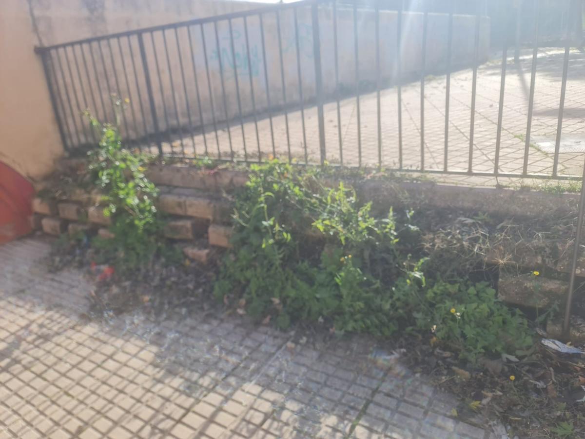 Somos Cáceres solicita al ayuntamiento más inversión para el mantenimiento de las instalaciones deportivas