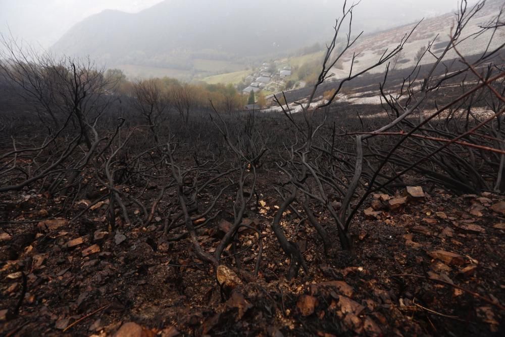 El Suroccidente asturiano arrasado por las llamas