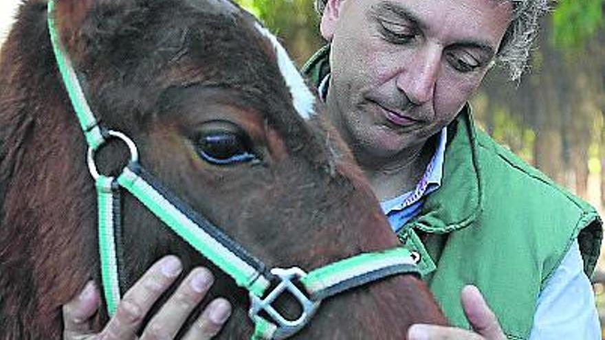 Quien mata de hambre a un animal, asesina la dignidad humana