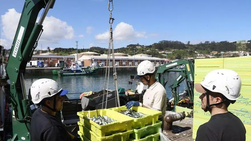 Descarga en el Musel de unos  8000 kilos de bocarte