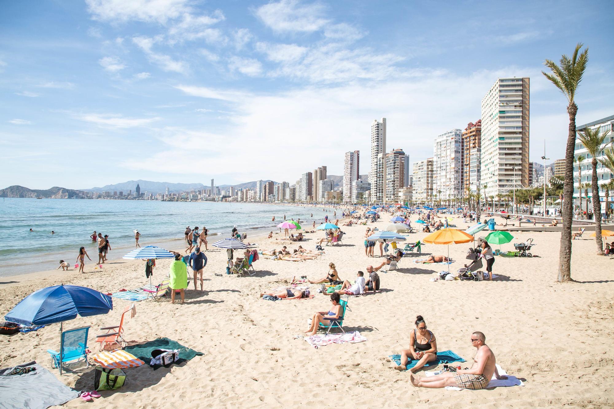 Numerosas personas se bañan y toman el sol en la playa de Poniente, a 11 de marzo de 2023, en Benidorm, Alicante, Comunidad Valenciana (España).