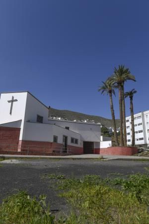 LAS PALMAS DE GRAN CANARIA  06-02-2019  LAS PALMAS DE GRAN CANARIA.  Palmeras en el solar en donde Hiperdino proyecta construir un supermercado y reconstruir la Iglesia de La Vega de San Jose.  FOTOS: JUAN CASTRO  | 06/02/2019 | Fotógrafo: Juan Carlos Castro