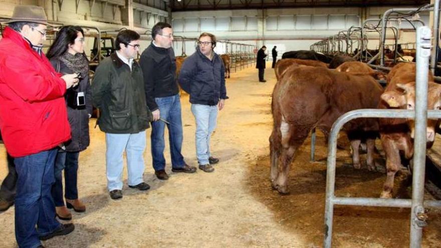 La delegación lusa fue guiada por Julio Pérez durante su recorrido por las instalaciones de la Central Agropecuaria de Galicia. // David Méndez