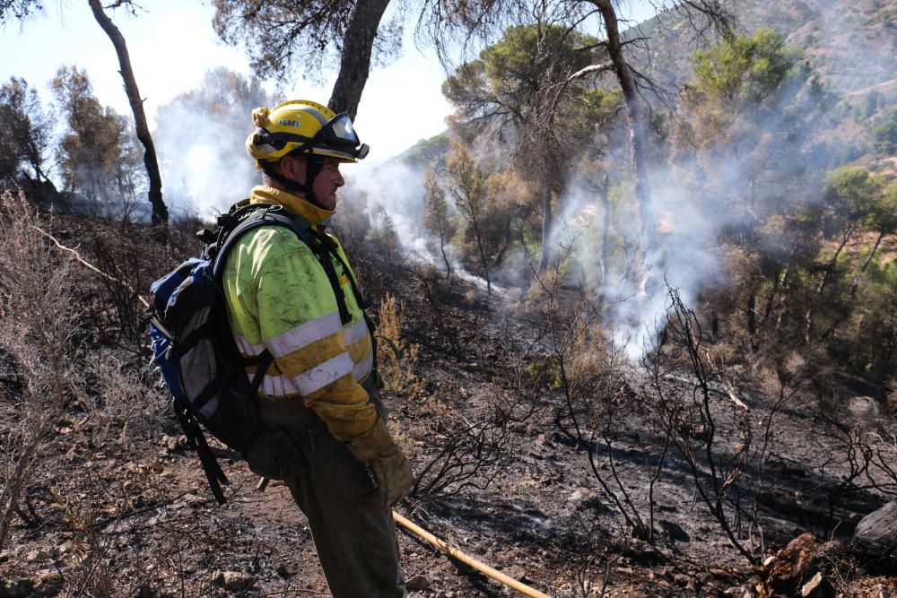 El fuego se inició a última hora de ayer miércoles y ha estado activo toda la noche.