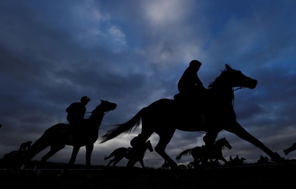 Cheltenham Festival