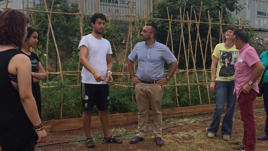 Vila-real crea un banco de semillas para dar impulso a la huerta local