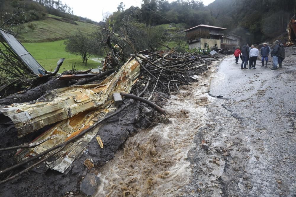 Temporal en Asturias: Un argayo sepulta una ganadería en Salas