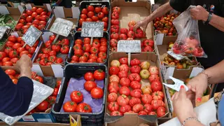 Las ventas internacionales de frutas y hortalizas de Córdoba superan los 93 millones hasta mayo
