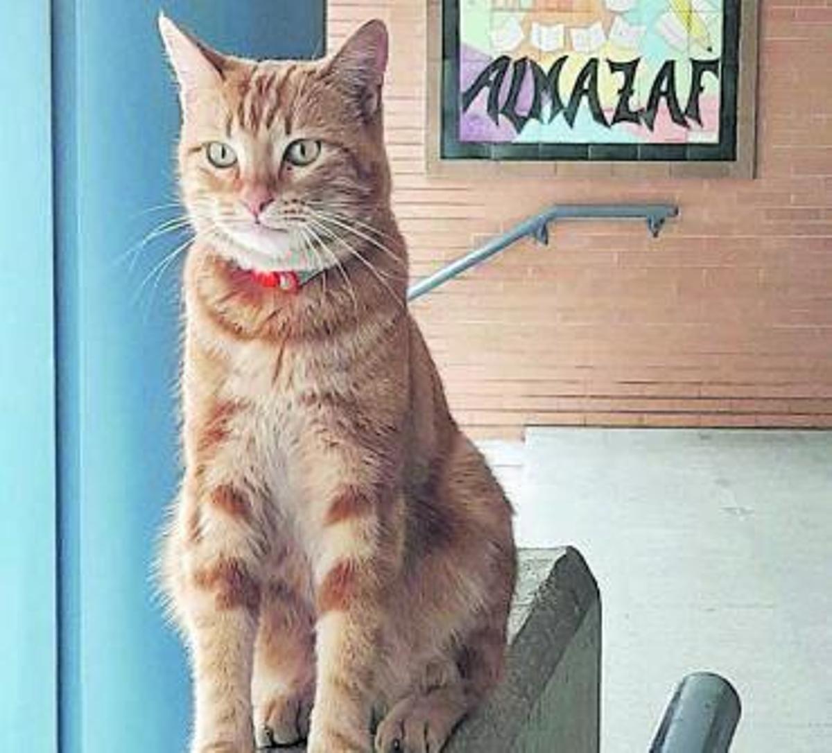 Los contagios se multiplican