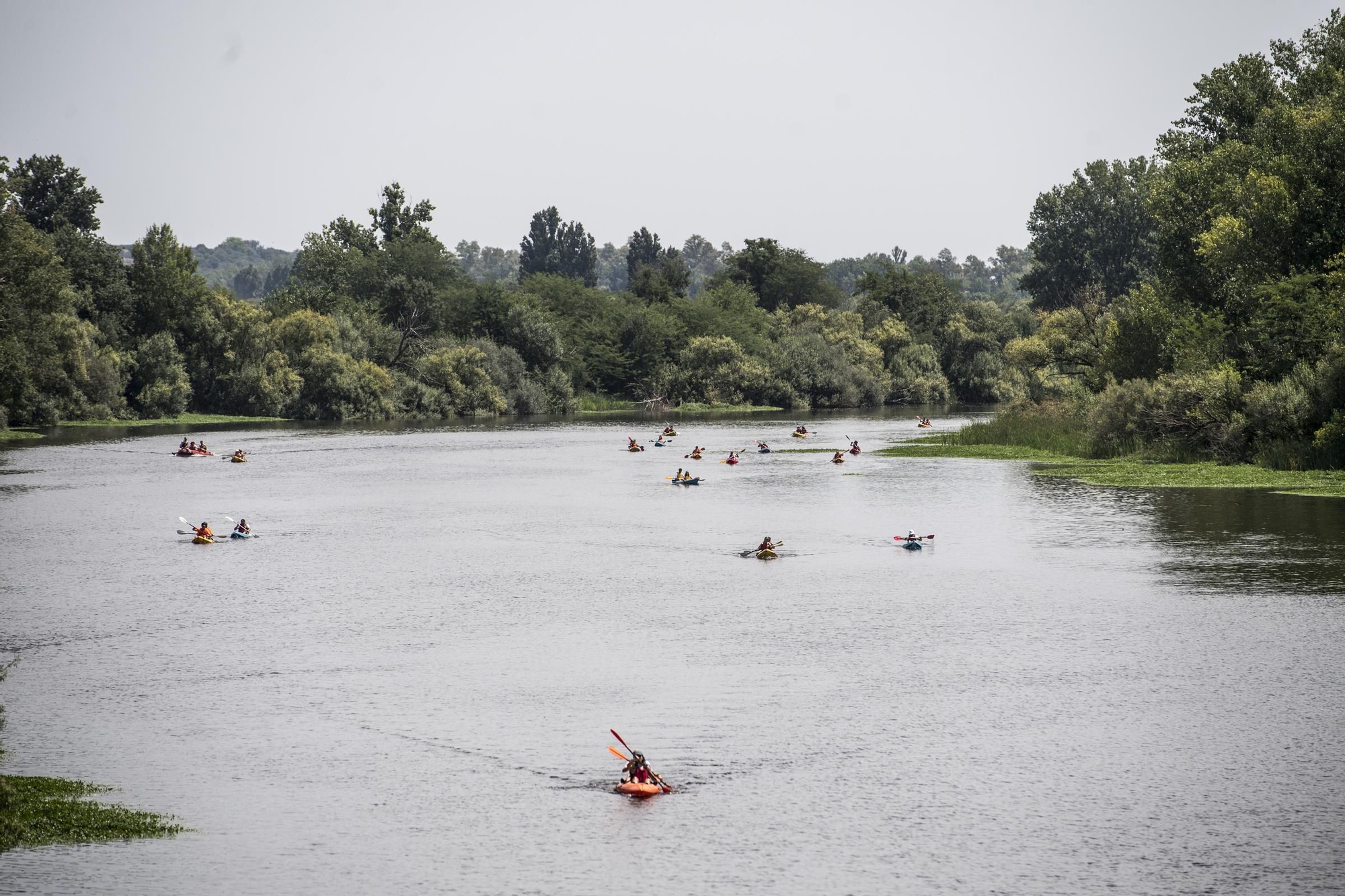 La XV edición del Descenso de Río Alagón, en imágenes
