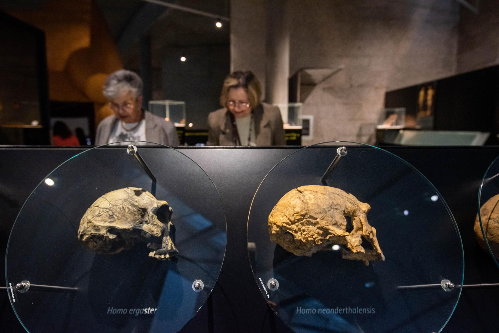 Día de los Museos en A Coruña