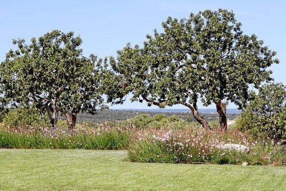 Gartenarchitektin Andi Lechte zeigt einer Reisegruppe ein Anwesen bei Santanyí. Der Entwurf stammt aus ihrer Feder.