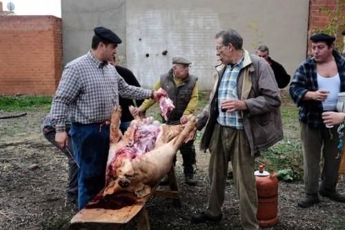 Matanza tradicional en Monfarracinos