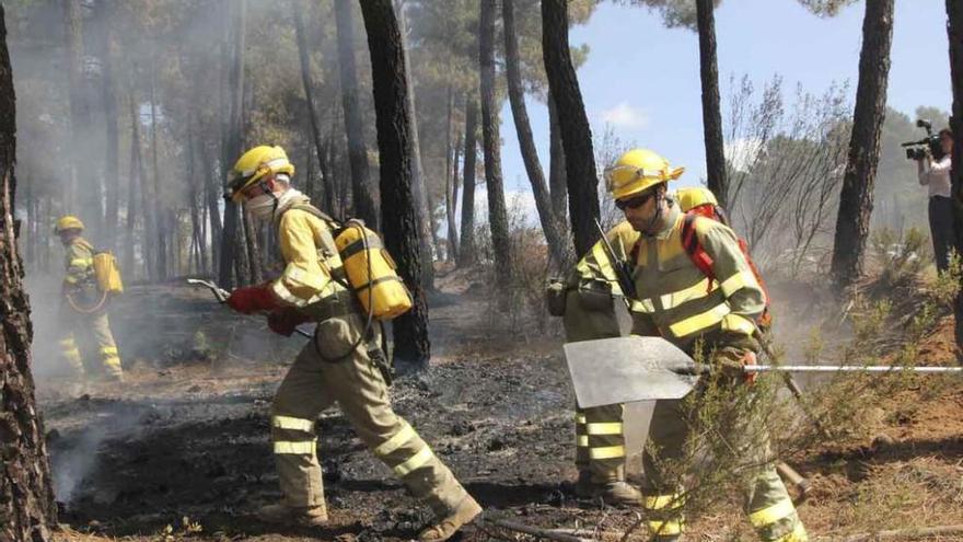 Los servicios de extinción terminan de sofocar el incendio de Latedo, en un pinar de Aliste. Foto de julio de 2015.