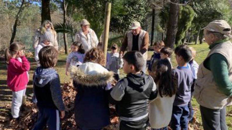 Caldas celebra el Día Mundial de la Educación Ambiental en sus huertos escolares