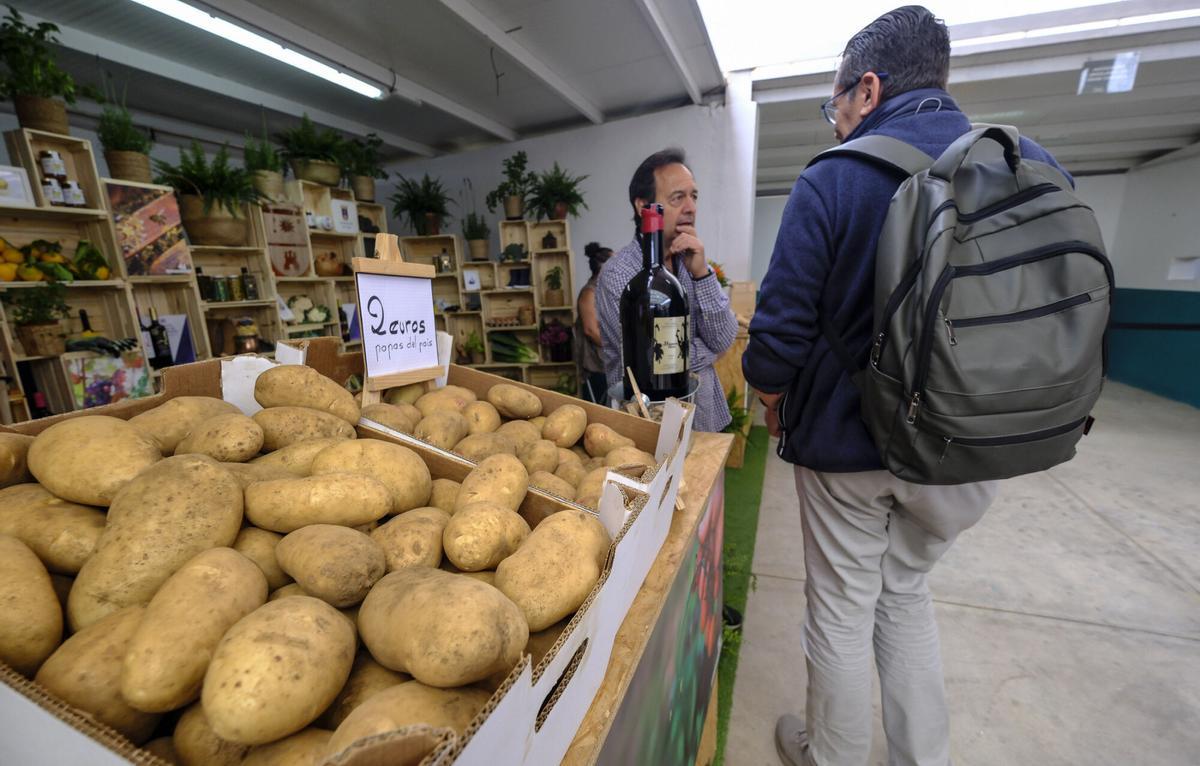 Feria de Ganado de Gran Canaria
