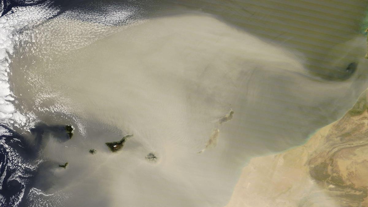 Así reduce la calima la visibilidad en La Laguna, en imágenes