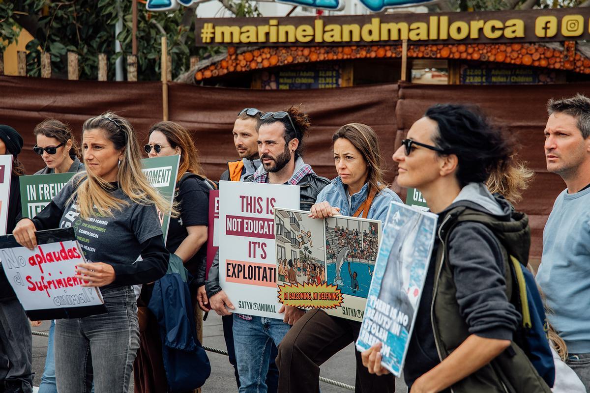 Lemas de la protesta.