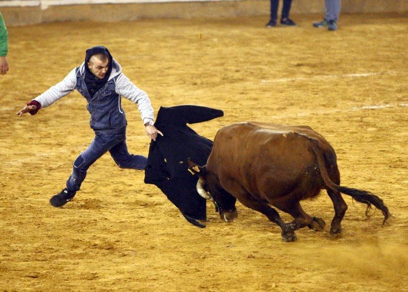 Primera mañana de vaquillas