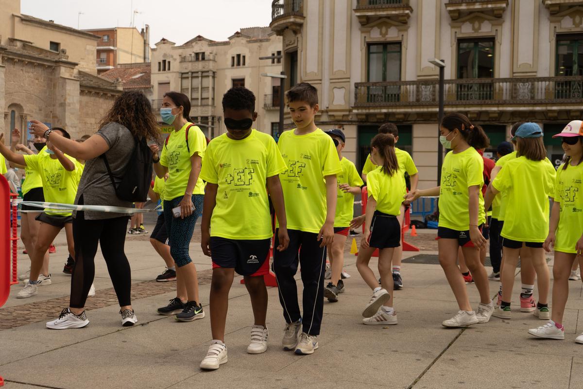 GALERÍA | Zamora celebra el Día de la Educación Física en la calle