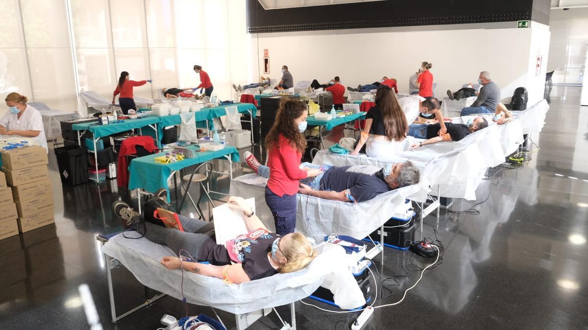 Campaña de donación de sangre este sábado en el Centro de Congresos de Elche