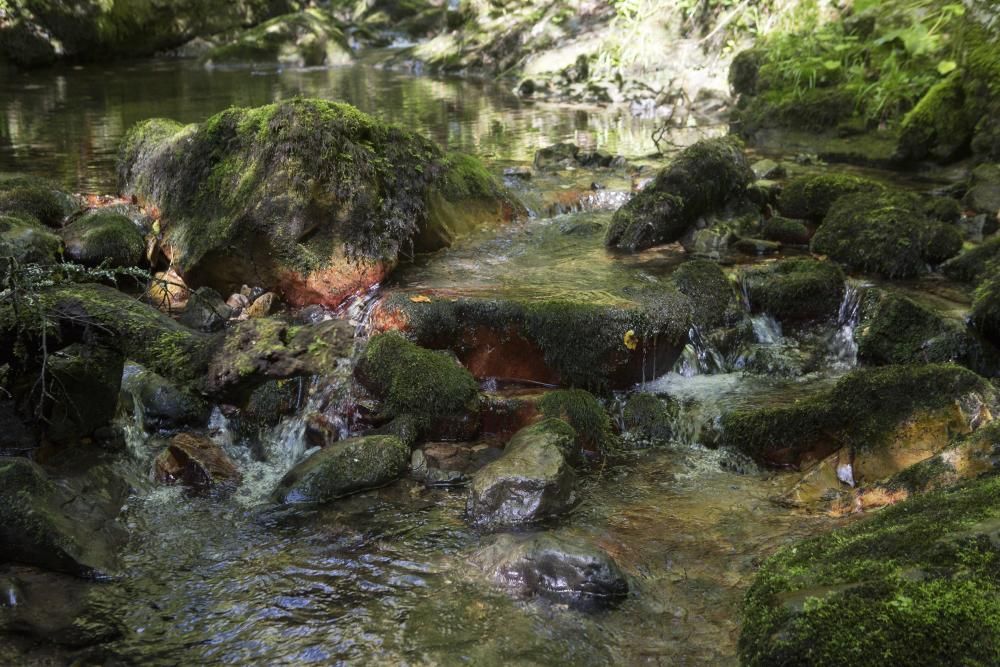 Las rutas por Asturias: las foces del río Pendón