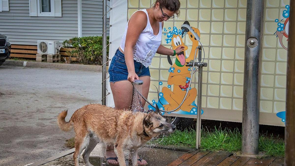 La dutxa de gossos, sempre a punt per quan la família  torna de la Rubina.