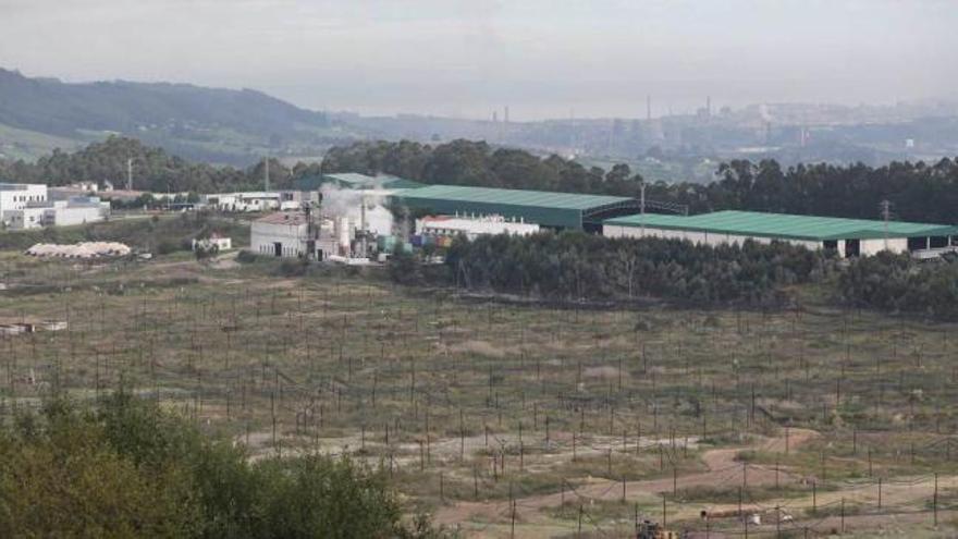 Instalaciones del vertedero de Cogersa en la parroquia gijonesa de Serín.