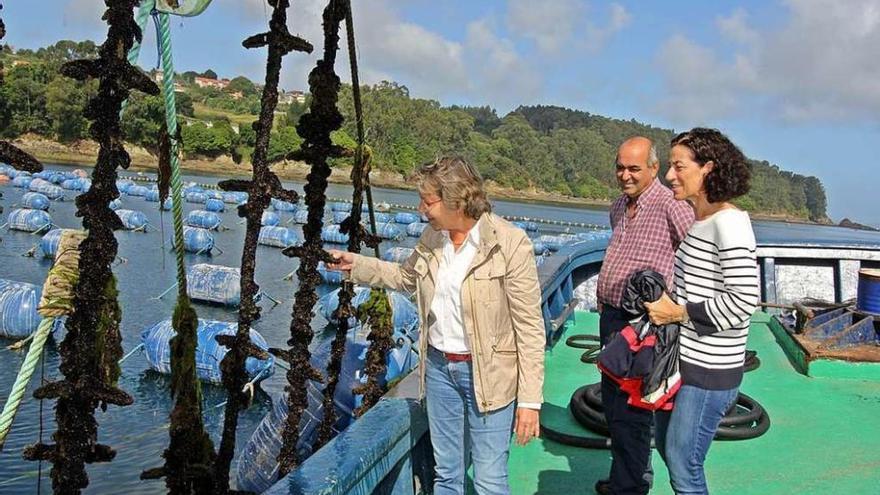 La conselleira do Mar, Rosa Quintana, ayer en Lorbé.