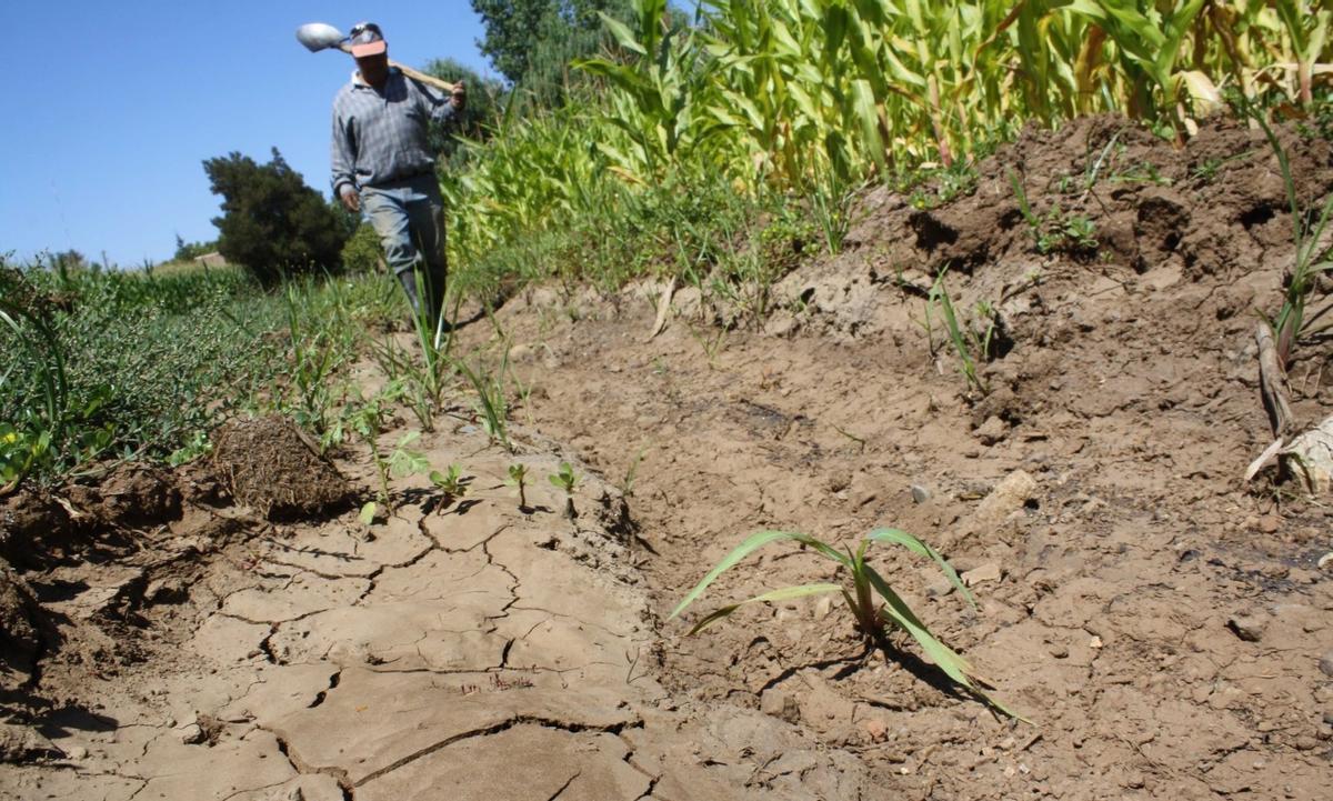 La agricultura, contra las cuerdas