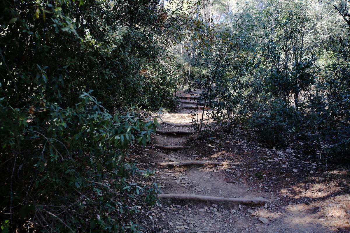 Parc del Laberint dHorta, estado actual y rincones a reformar