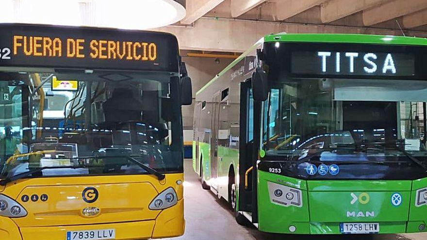 Guaguas en Canarias