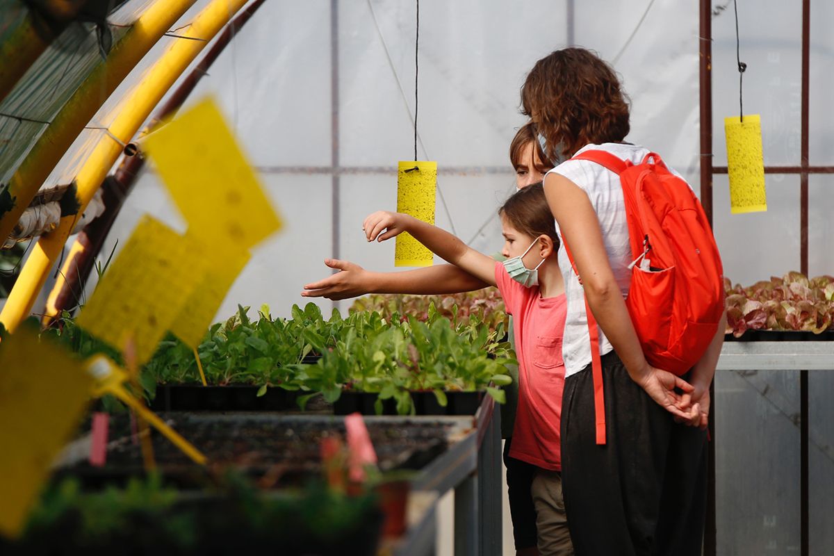 Taller de jardinería para la familia en el jardín botánico