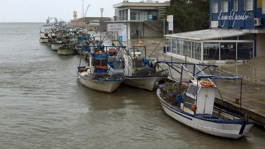 Barcas de artes menores, en el muelle pesquero de Gandia.