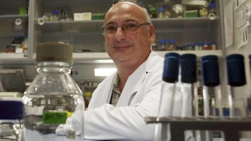 El investigador Francis Mojica, en su laboratorio de la Universidad de Alicante.