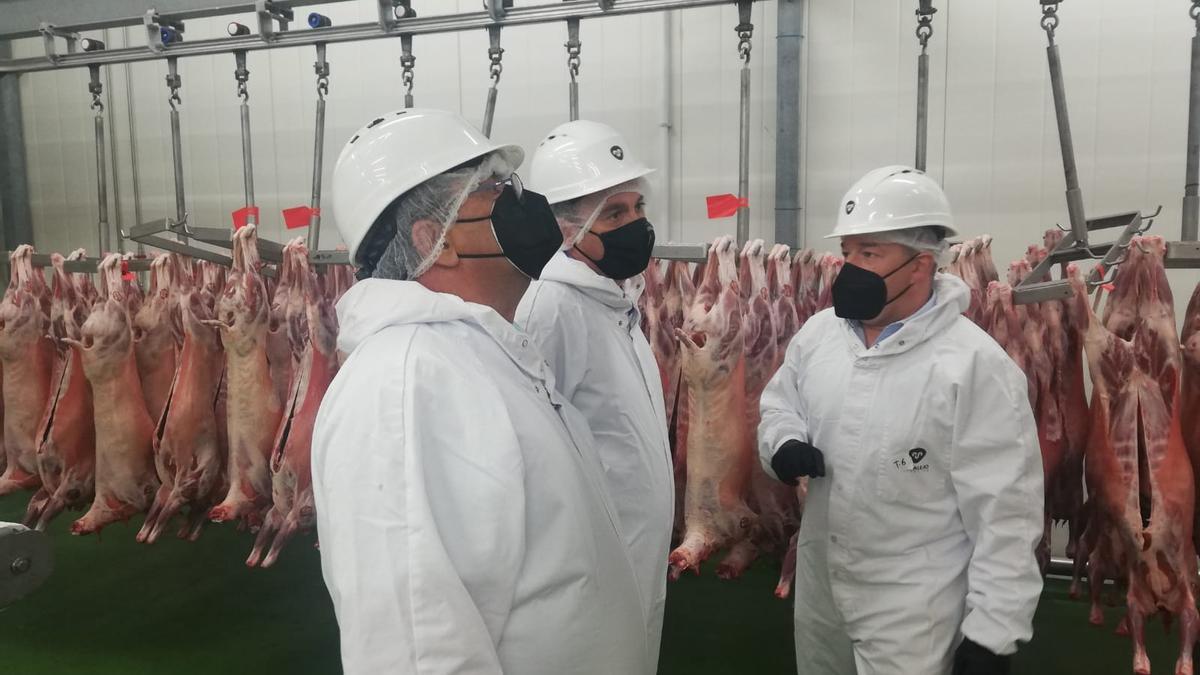 Visita del presidente de la Diputación de Zamora, Francisco Requejo, a Moralejo Selección.