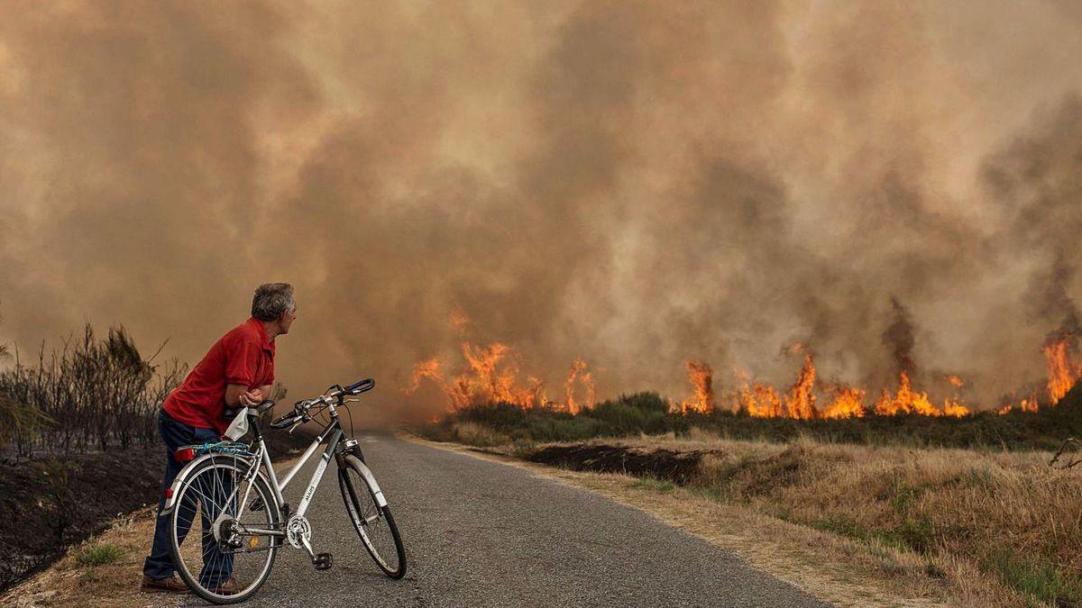 Un vecino de Cualedro (Orense) observa el avance de las llamas del incendio forestal en la localidad.